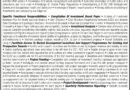 East London Industrial Development Zone (ELIDZ) ikhangela i Business Analyst, eMonti, eMpuma Koloni.