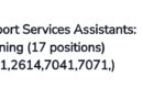 Nelson Mandela University ikhangela i Support Services Assistants: Cleaning (17 positions), eGqeberha, Koloni. 