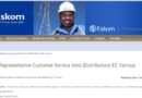 Eskom ikhangela i Service Representatives Customer Service Area, in various places, eMpuma Koloni