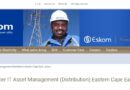 Eskom Hld SOC Ltd ikhangela i Assistant Officer IT Asset Management, eMonti , eMpuma Kapa.