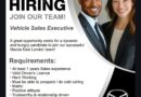 MAZDA ikhangela Vehicles Sales Executive eMonti