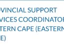 PROVINCIAL SUPPORT SERVICES COORDINATOR, eBhisho