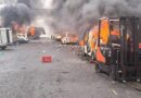 I-EFF igweba “uKumkani” waseKuGompo