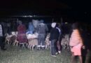 Amapolisa aseTsolo afumana iigusha ezili-100 ezibiweyo