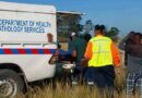 INKOKELI YESINTU IMBOTSHWE EMVA KOKUDUBULA ABANTU E-NGQELENI.
