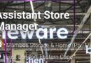 Mambo’s Storage & Home – ASSISTANT STORE MANAGER, eKuGompo City.