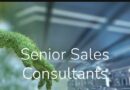 Rubicon  -Senior Sales Consultant, eGqebehra.