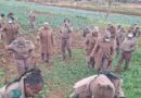 Amagosa aseKgosi Mampuru II Abhiyoza iNyanga yamaBhinqa ngezolimo