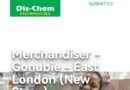Dis-Chem Pharmacies -Merchandiser, eKuGompo City.