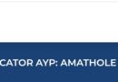 TBHIVCARE -Peer Educator AYP, eAmathole.